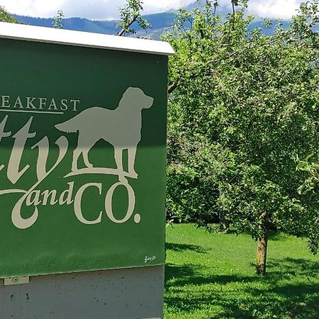 B&B Scotty & Co. Susa Kültér fotó