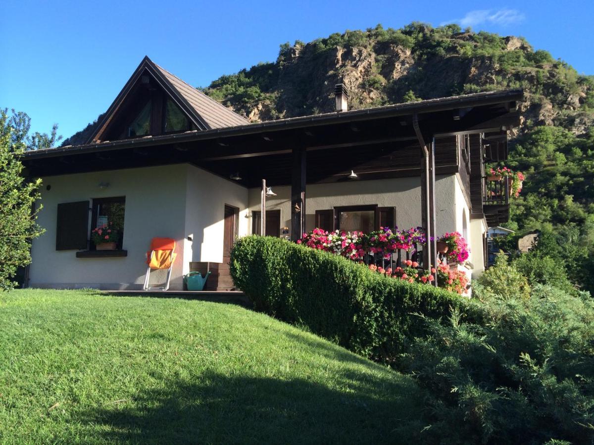 B&B Scotty & Co. Susa Kültér fotó